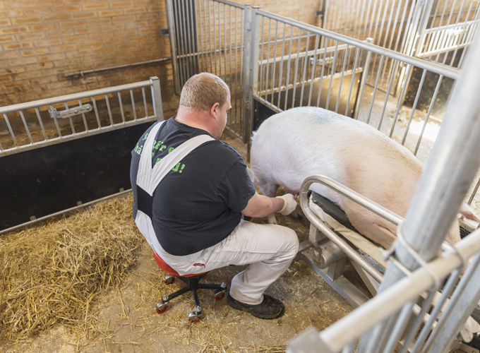 Ornestationmors Web 6530