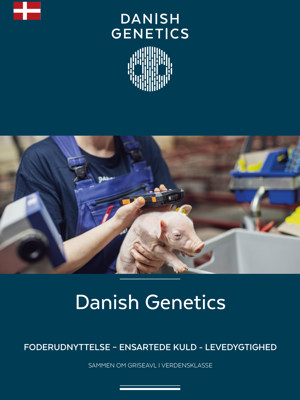 Brochure.DA.Online