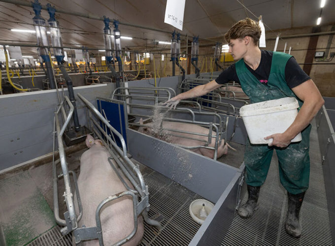 Sjoerd Derksen, Aged 20, 2