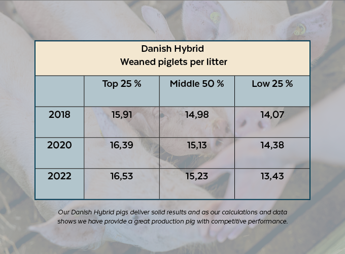 Danish Hybrid