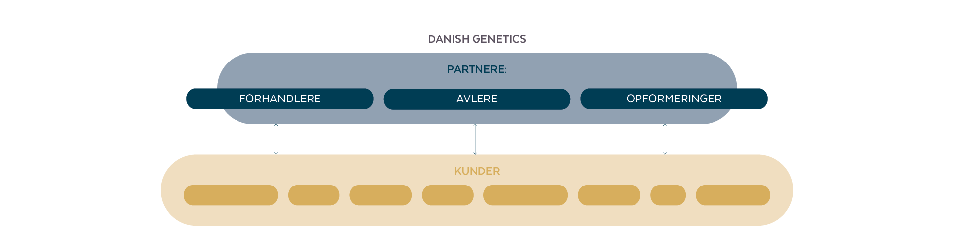 DK.Org